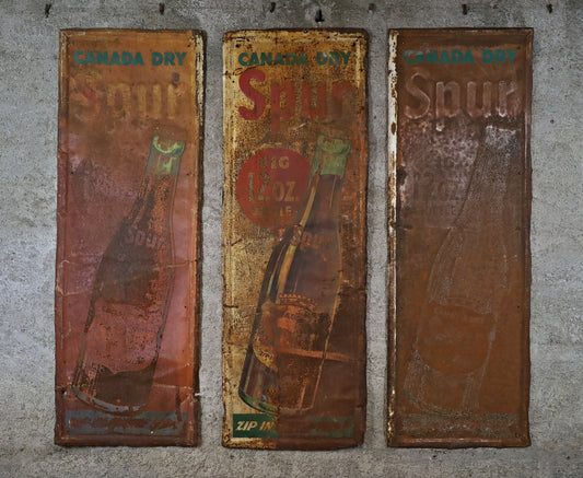 Triptychon Blechschilder "Canada Dry Spur"