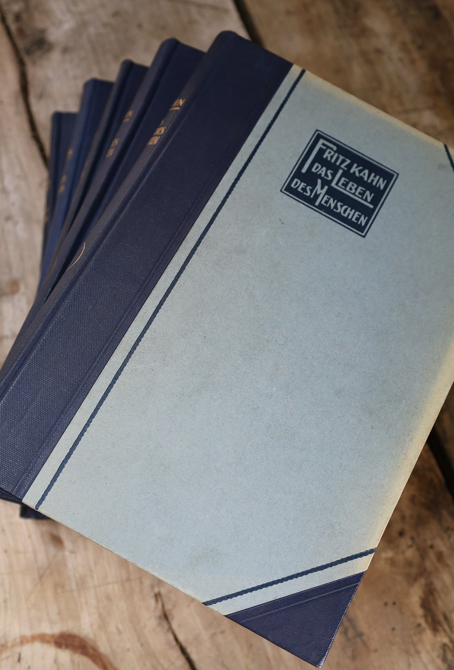 Fritz Kahn's Industriepalast inkl. die 5 Bände "Das Leben des Menschen"