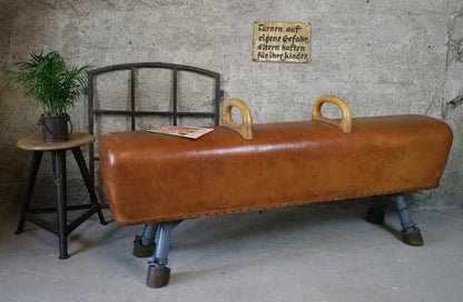 Schuhbank aus einem alten Pauschenpferd/Turnbock XL