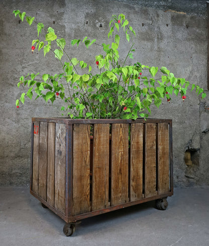 Pflanzenwagen, Werkstattwagen, Transportwagen