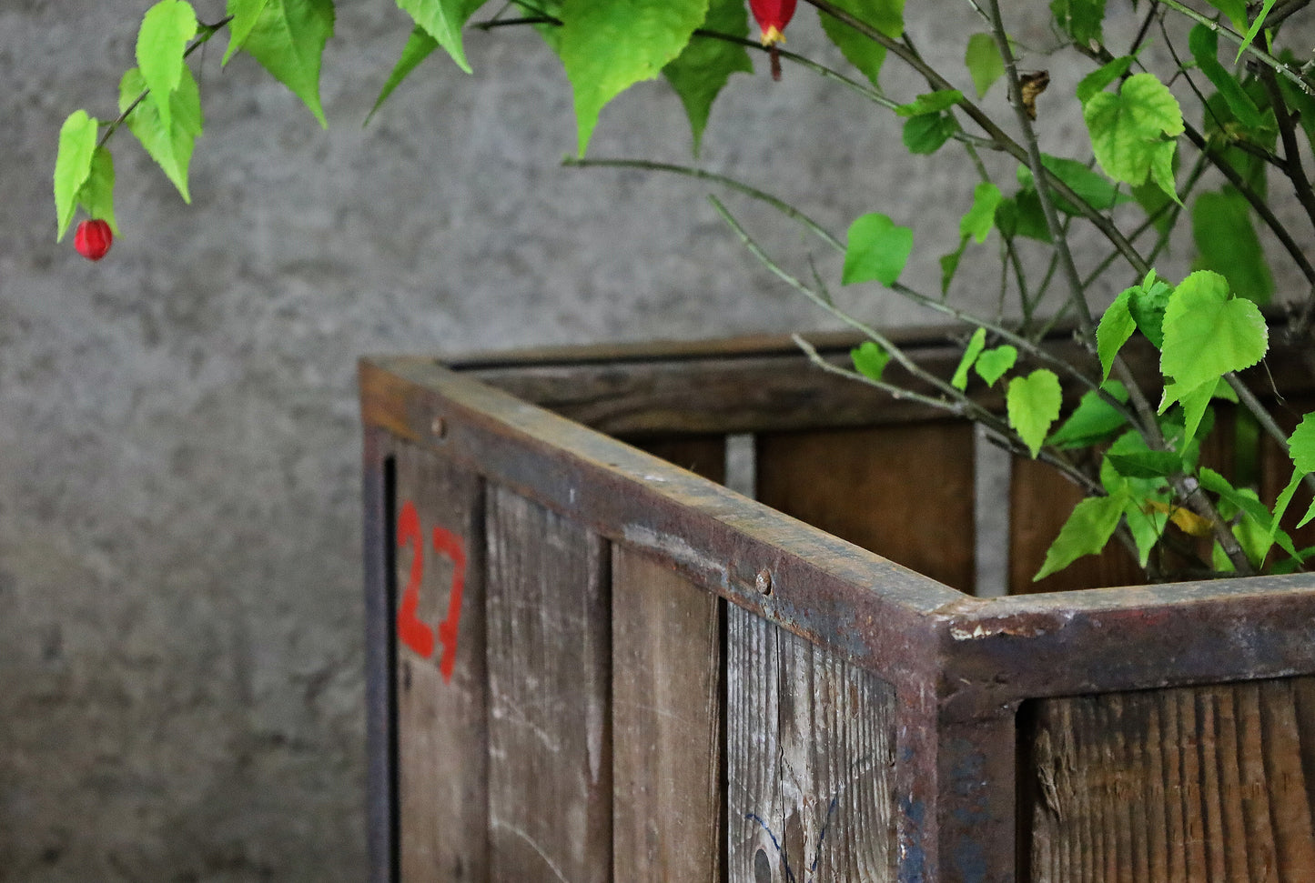 Pflanzenwagen, Werkstattwagen, Transportwagen