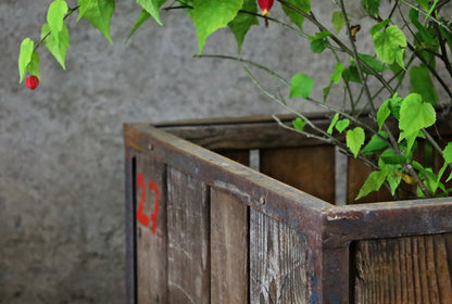 Pflanzenwagen, Werkstattwagen, Transportwagen