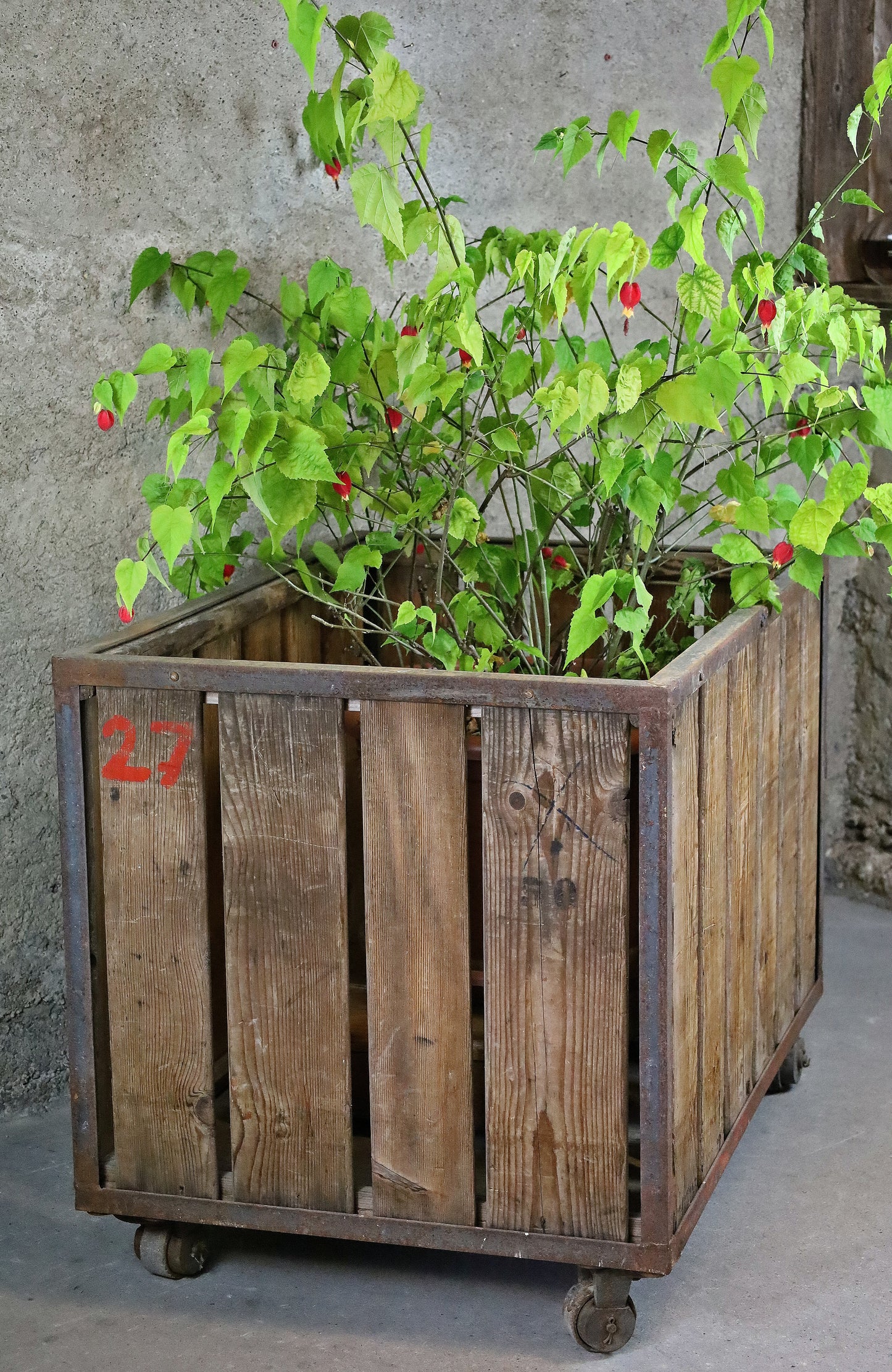 Pflanzenwagen, Werkstattwagen, Transportwagen