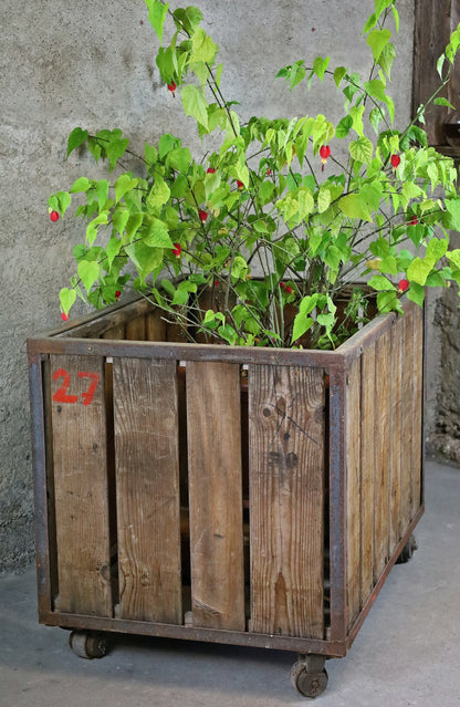 Pflanzenwagen, Werkstattwagen, Transportwagen