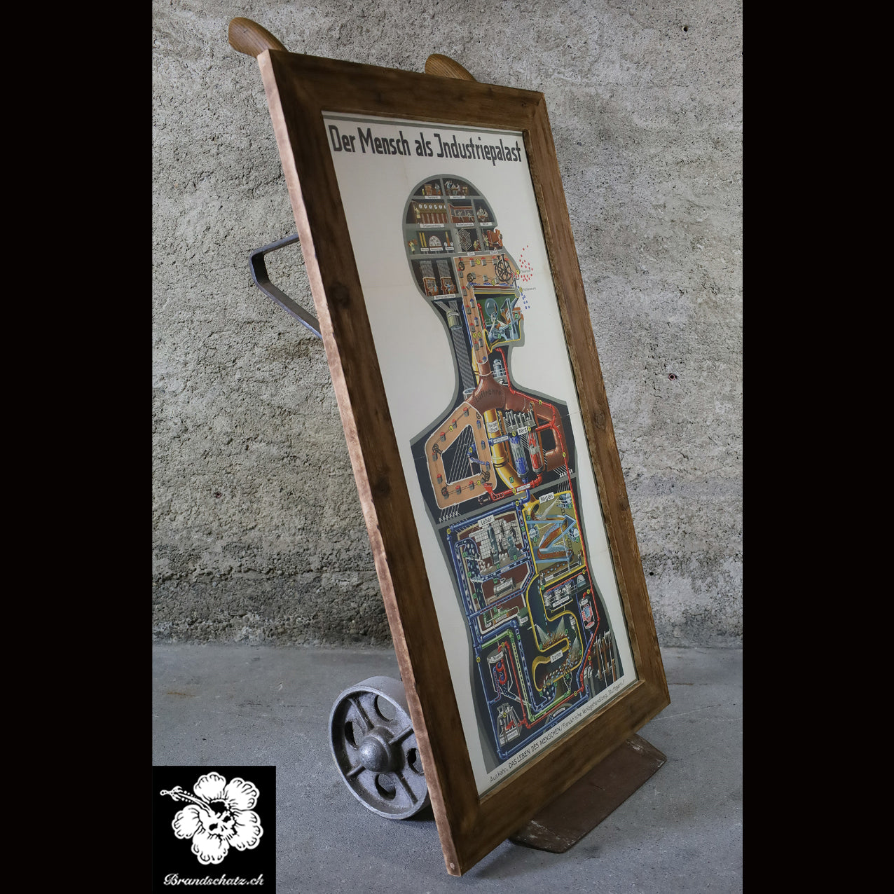 Fritz Kahn's Industriepalast inkl. die 5 Bände "Das Leben des Menschen"