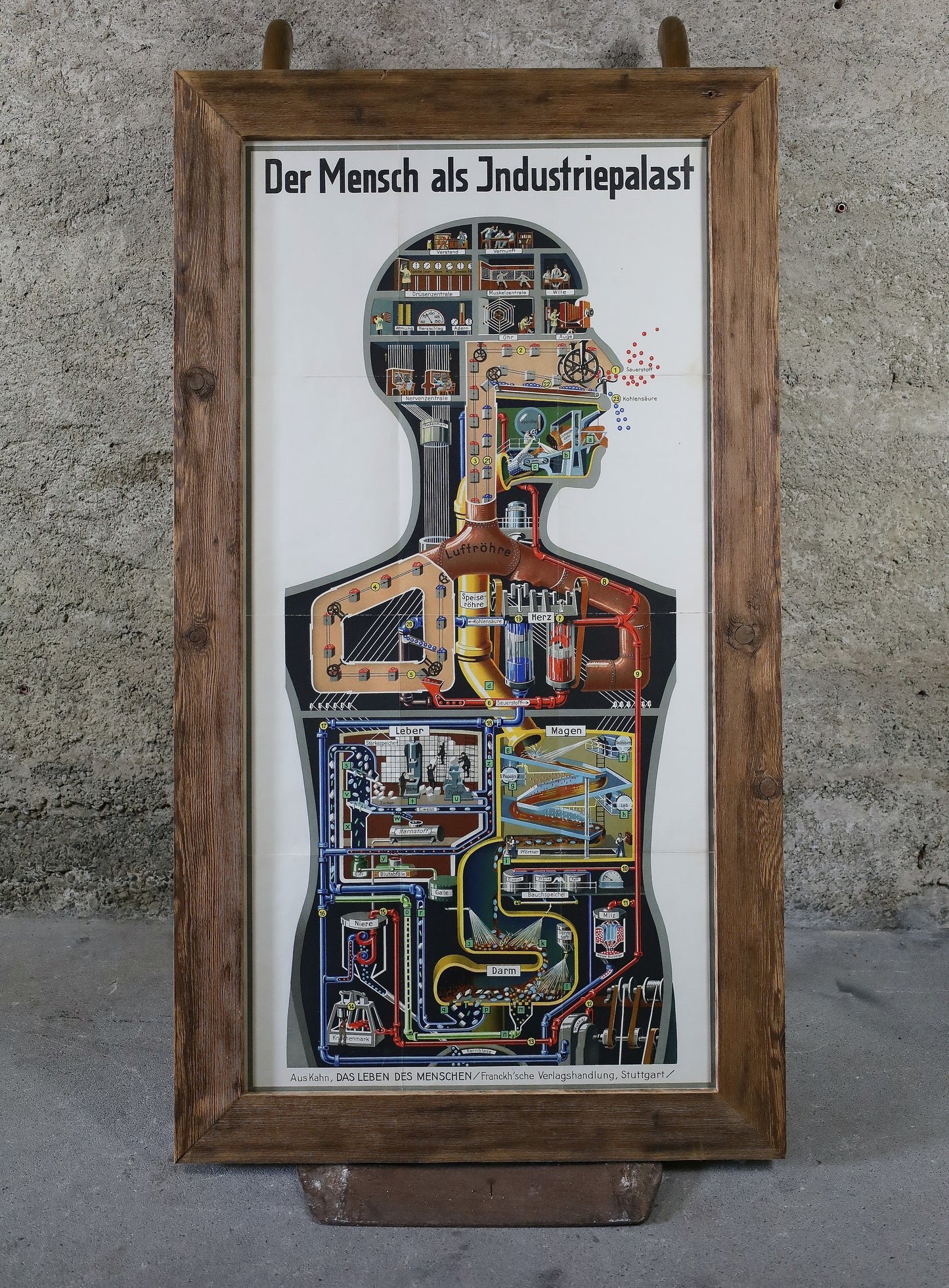 Fritz Kahn's Industriepalast inkl. die 5 Bände "Das Leben des Menschen"