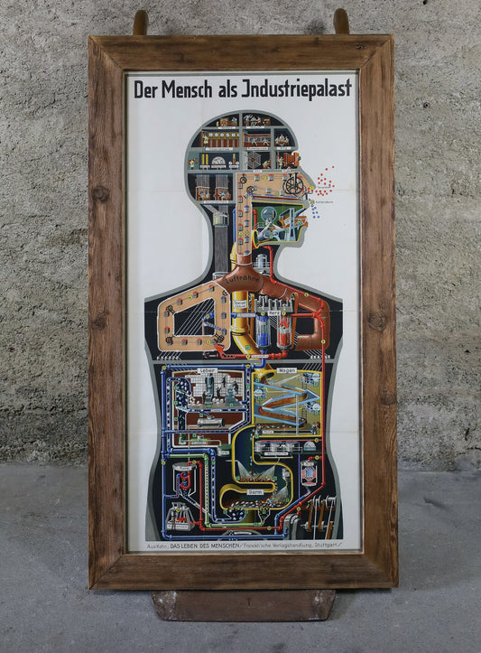 Fritz Kahn's Industriepalast inkl. die 5 Bände "Das Leben des Menschen"