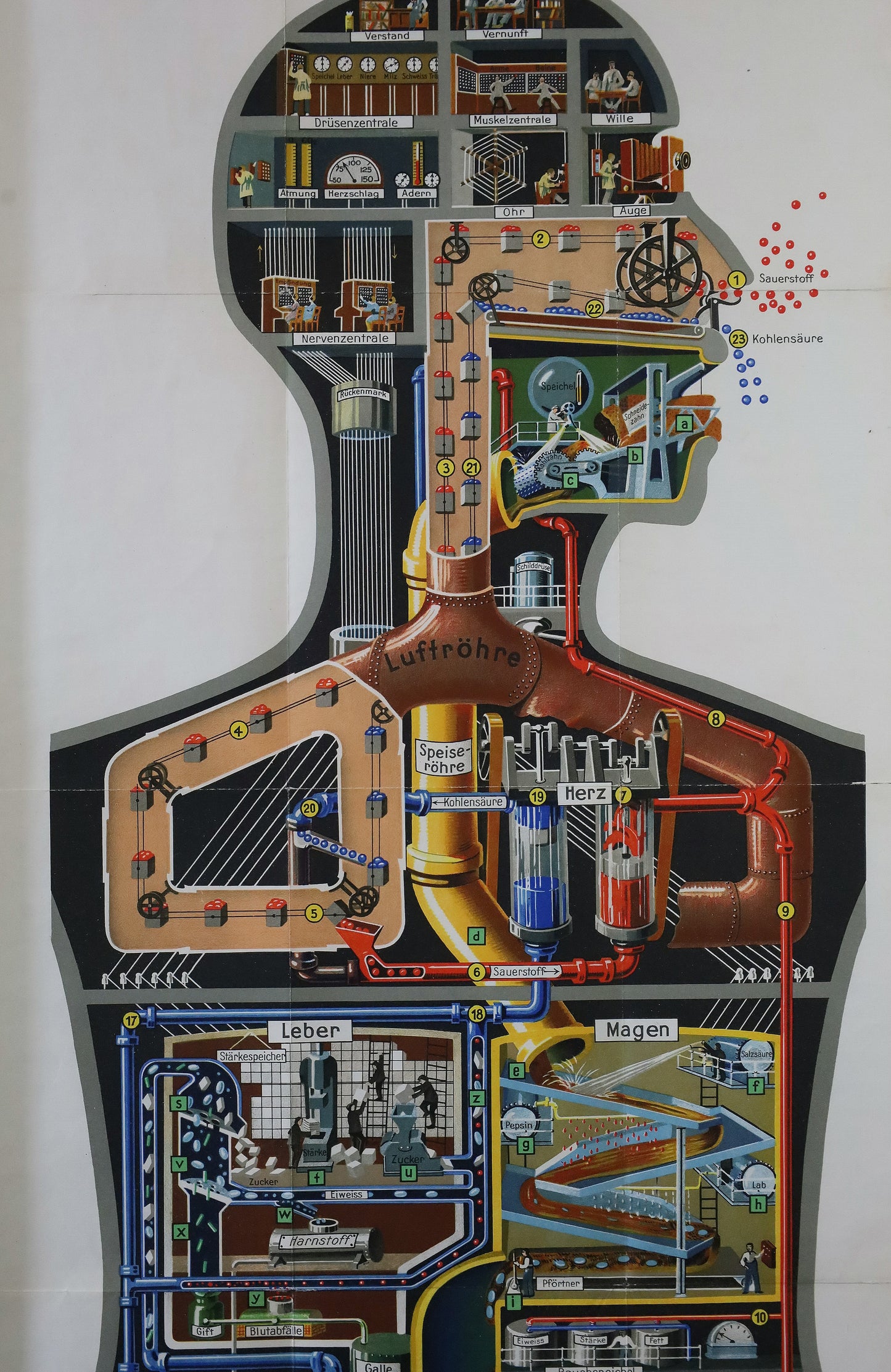 Fritz Kahn's Industriepalast inkl. die 5 Bände "Das Leben des Menschen"