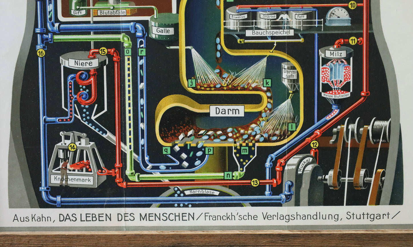 Fritz Kahn's Industriepalast inkl. die 5 Bände "Das Leben des Menschen"