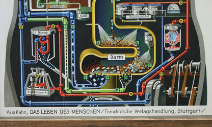 Fritz Kahn's Industriepalast inkl. die 5 Bände "Das Leben des Menschen"