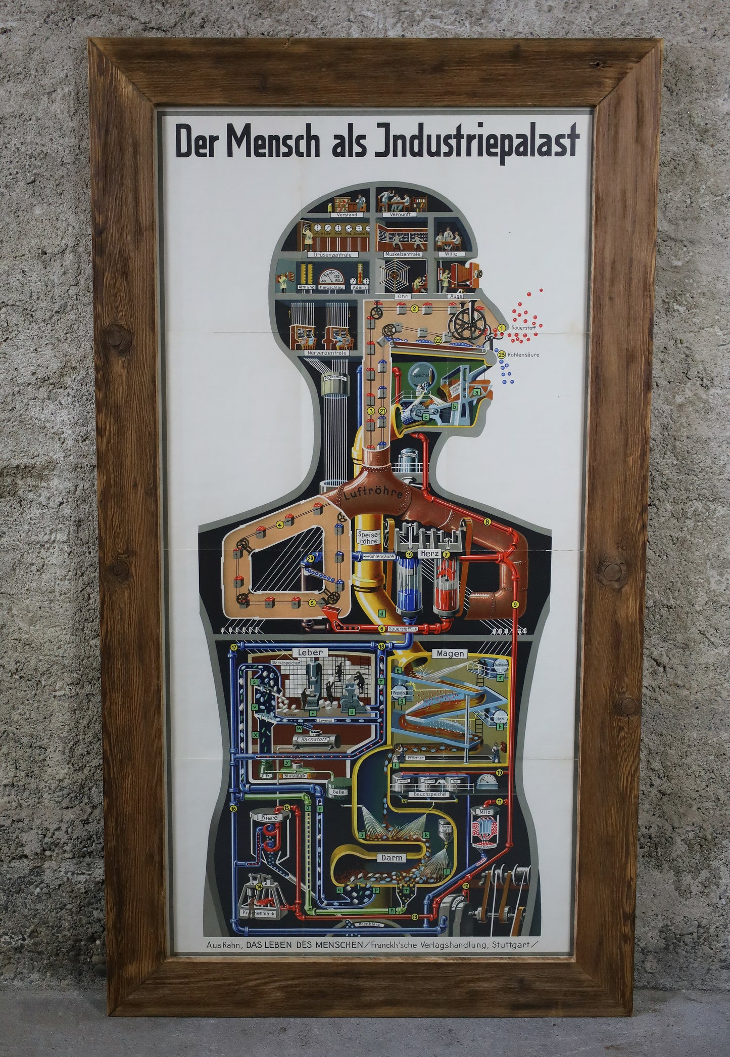 Fritz Kahn's Industriepalast inkl. die 5 Bände "Das Leben des Menschen"