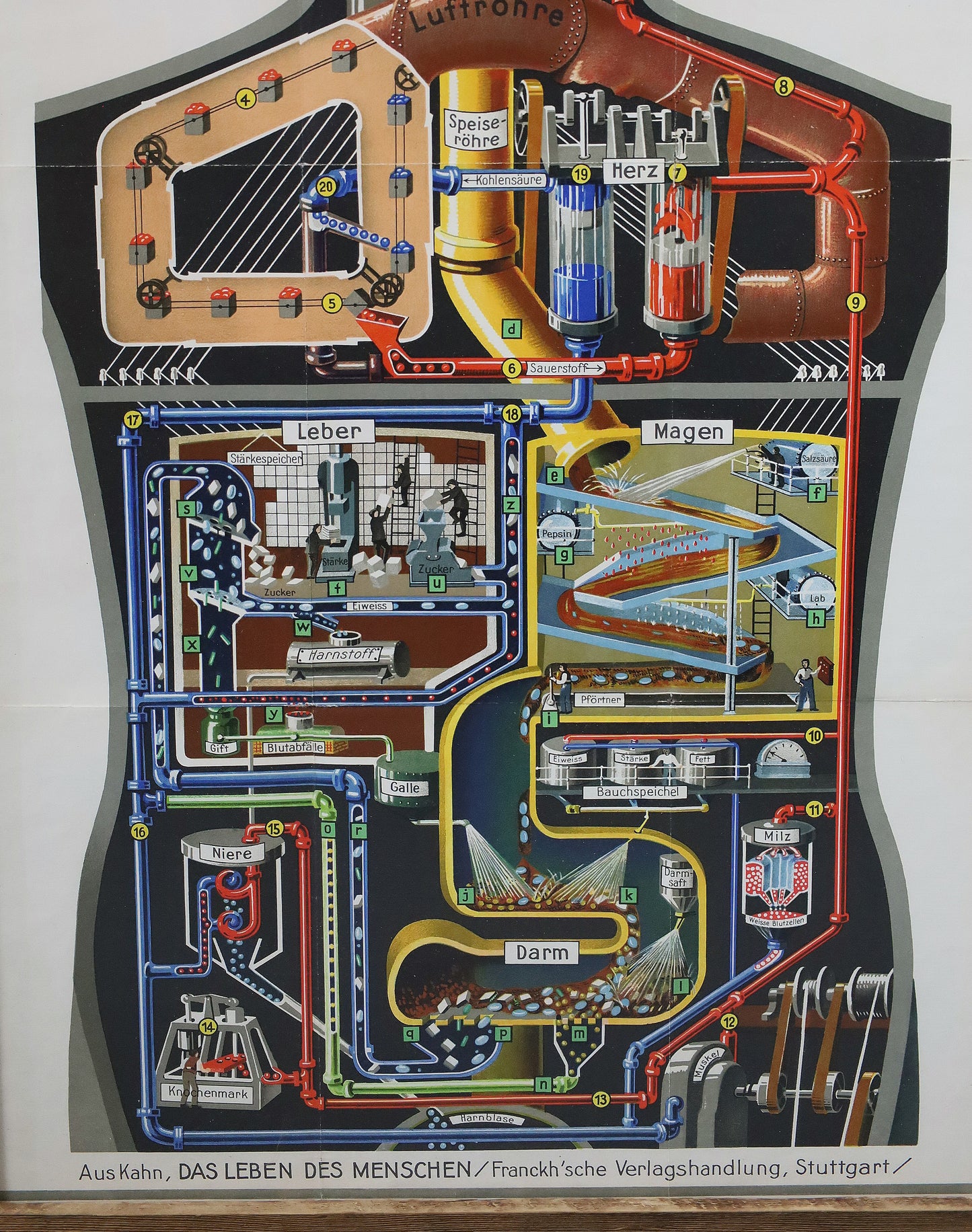 Fritz Kahn's Industriepalast inkl. die 5 Bände "Das Leben des Menschen"