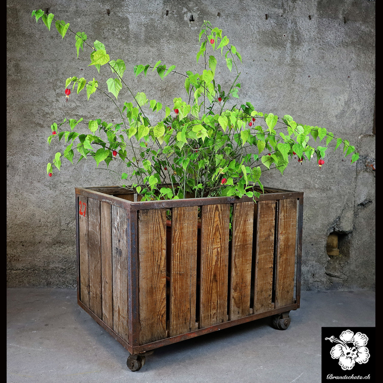 Pflanzenwagen, Werkstattwagen, Transportwagen